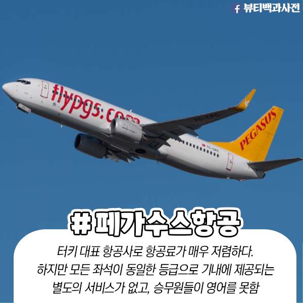 general_nuke's tweet photo. 해외여행시 걸러야할 항공사들
이 항공사들은 꼭피하세요 https://t.co/GesIiCMB0C