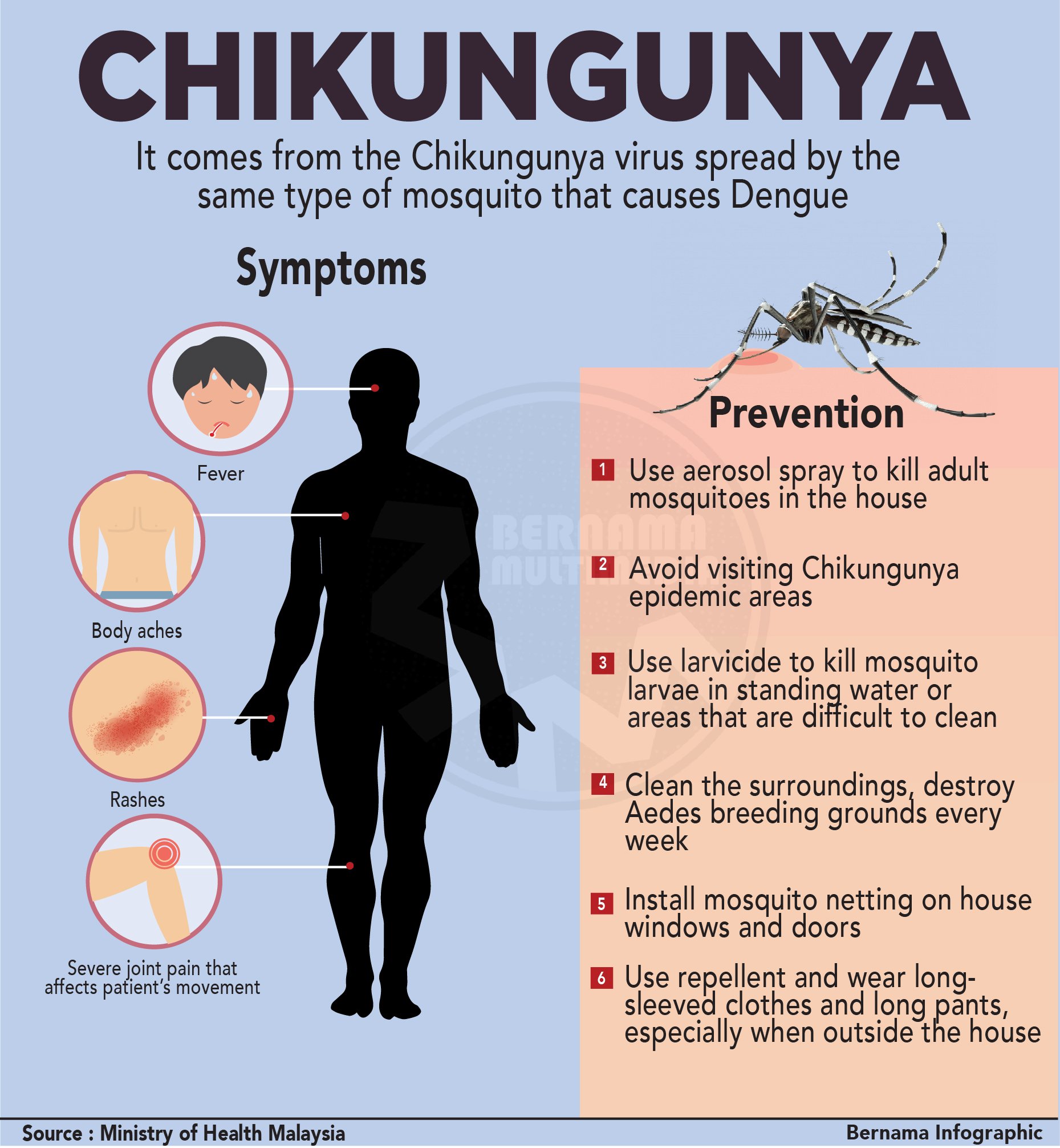 Chikungunya Virus Treatment Options and Recovery Tips