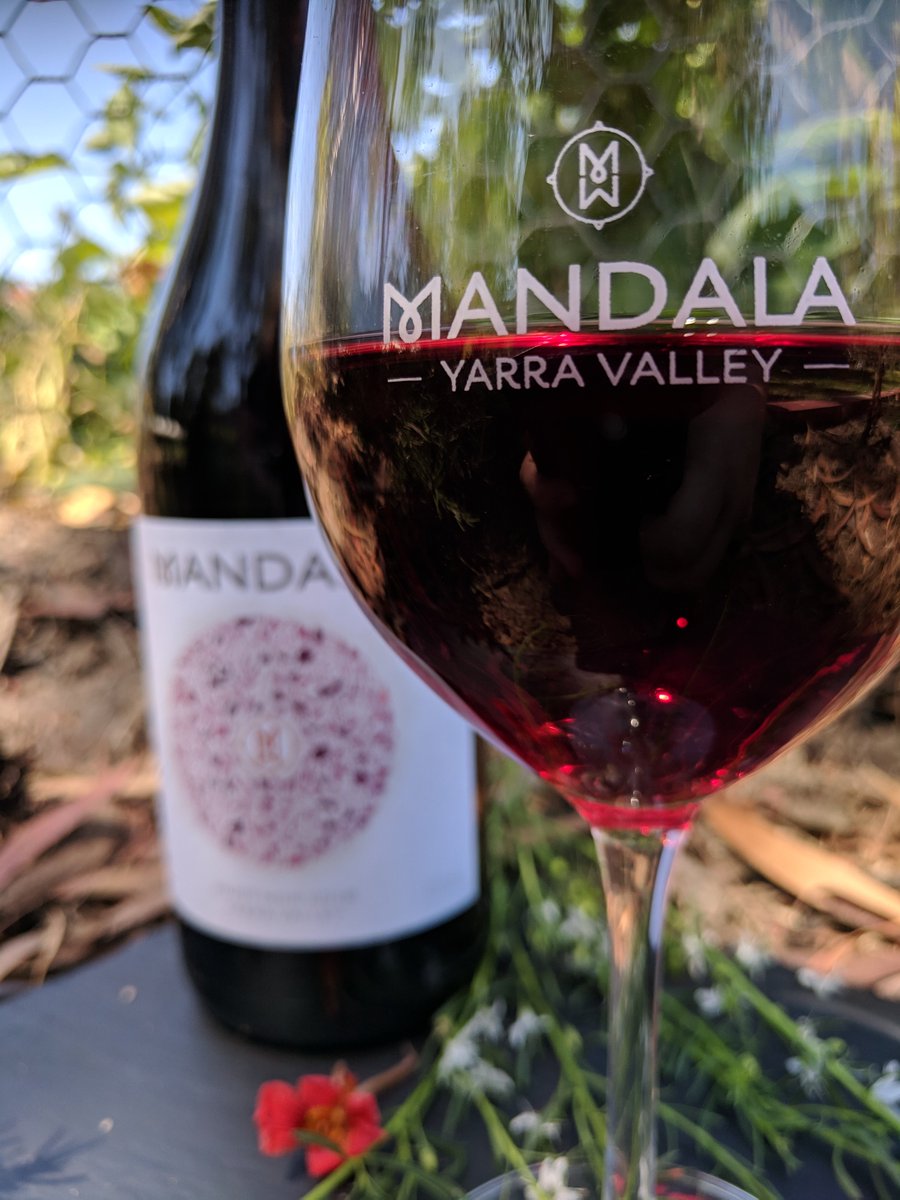 MandalaWines's tweet photo. Mandala Cellar Door open all long weekend! New release Chardonnay and Pinot Noir available to taste and with some delicious dishes to match. Cellar Door open all long weekend, DiVino Ristorante open Saturday and Sunday for lunch. Hope you can join us #visityarravalley #weekend https://t.co/HDQ6D00XSu