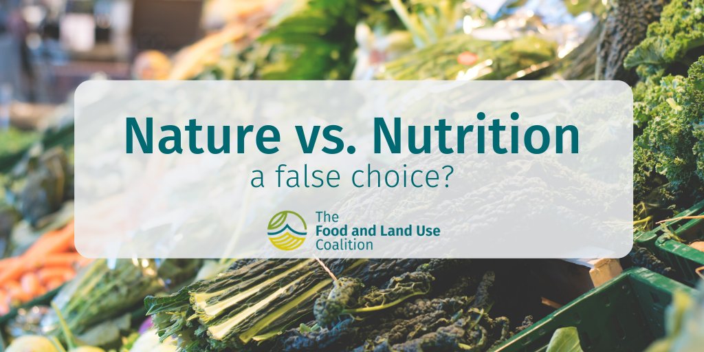 SYSTEMIQ_Ltd's tweet image. #Foodsystems are at the intersection of health, climate and equality: they must be a focus at @wef in @Davos if it is to shape a #GlobalArchitecture that is human-centred, fair and sustainable @FOLUCoalition