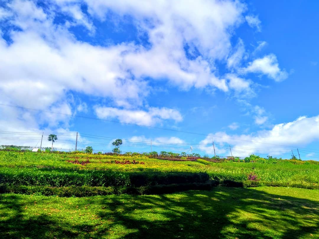 DaringJourneys's tweet photo. Let us not become weary in doing good, for at the proper time we will reap a harvest if we do not give up!
- Galatians 6:9 -
Have a blessed Thursday tweeps! ππππ» Hugs!π
My shots @ #EcoPark #Manila #NatureWalk #Trail #Explorer #Fotography #Blog #BloggerJet π https://t.co/wIHad12Sms