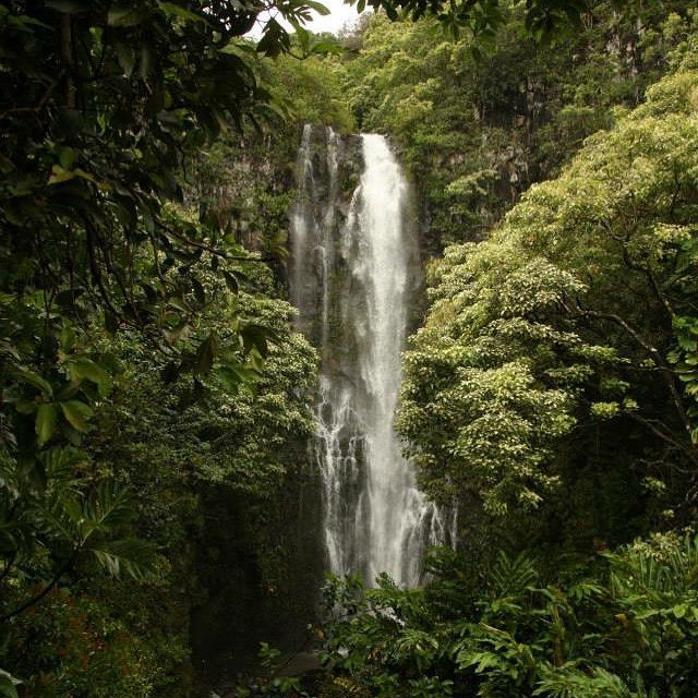 Go chase those waterfalls! Don’t care what any songs tell you. #dontgochasingwaterfalls #outdoors #jungle #hawaii #explore #neverstopdreaming #camplifestyle #campinglife⛺️ #waterfall bit.ly/2CDmJeE