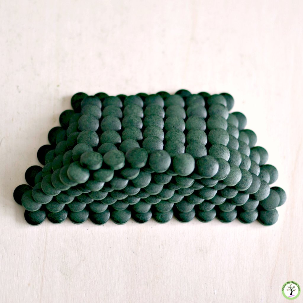 UnderMyAPLTree's tweet photo. All you need to know about spirulina https://t.co/gbmanlyaWX https://t.co/ClgDEcyQNN