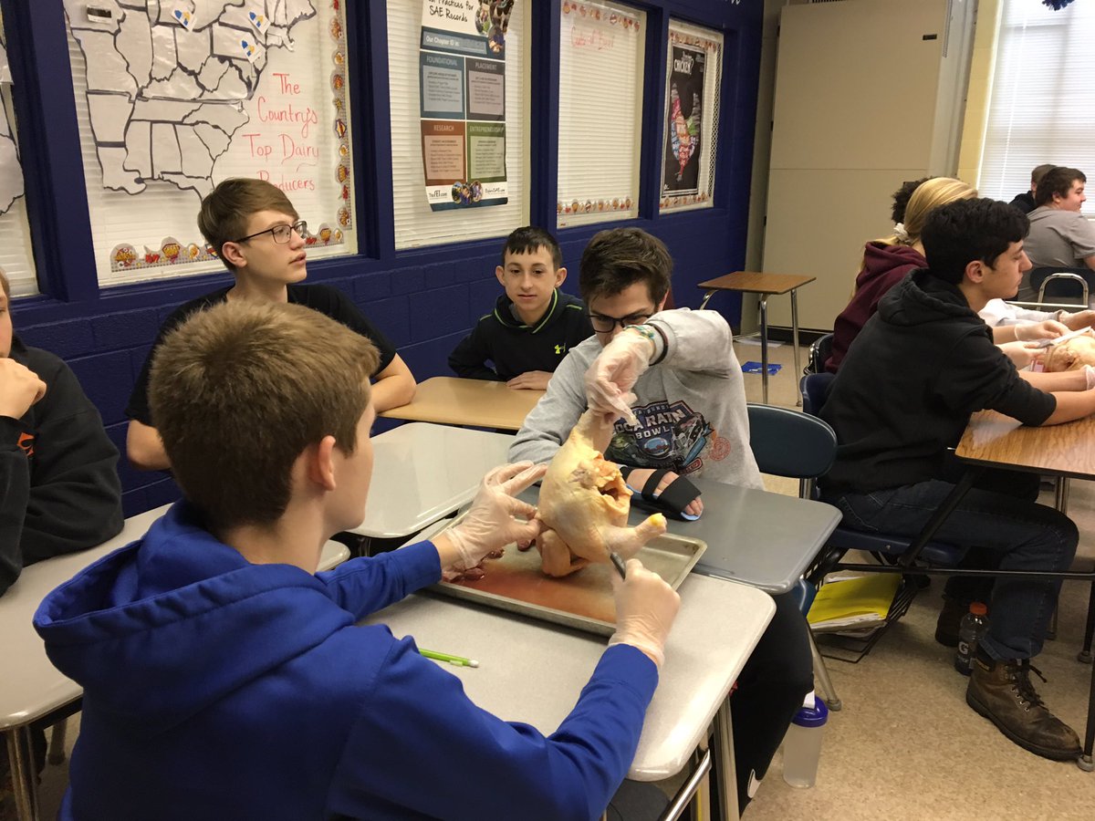 FisherFFA's tweet photo. Intro to Ag had a great time today with Fisher FFA President, Bethany Musick! She taught students about the Poultry CDE and dissected some chickens! https://t.co/M32c8HSiZ8