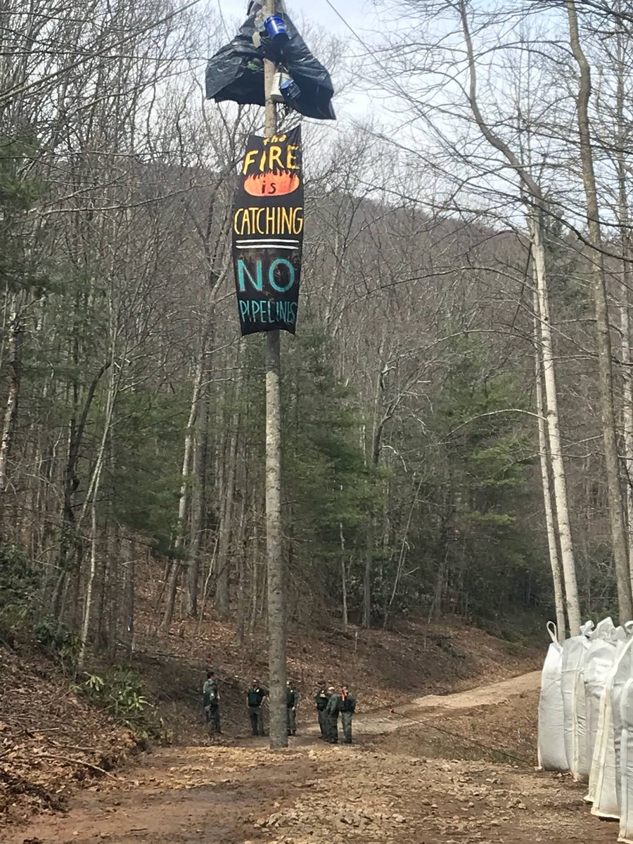 stopthemvp's tweet photo. Nutty stayed perched in the monopod for 57 days in spring of 2018. Today she pled guilty to Blocking a Forest Service Road or Gate and was sentenced to 14 days in prison. Read the statement Nutty read in court today here: https://t.co/HtiHXsBIRg #nomvp #nopipelines #belikenutty https://t.co/kiMJnZYRVk