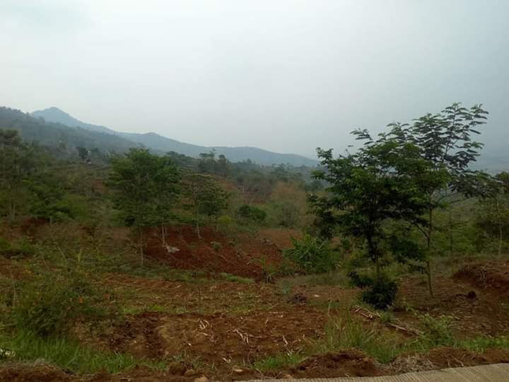 AZainproperty tweet picture