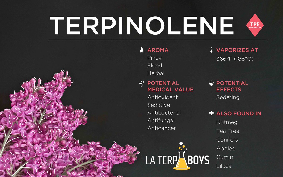 la_terp's tweet photo. Terpinolene #terpinolene #terp #terpenes #anticancer #antioxidant #sedative #antibacterial #antifungal https://t.co/XKlpGB2wZc