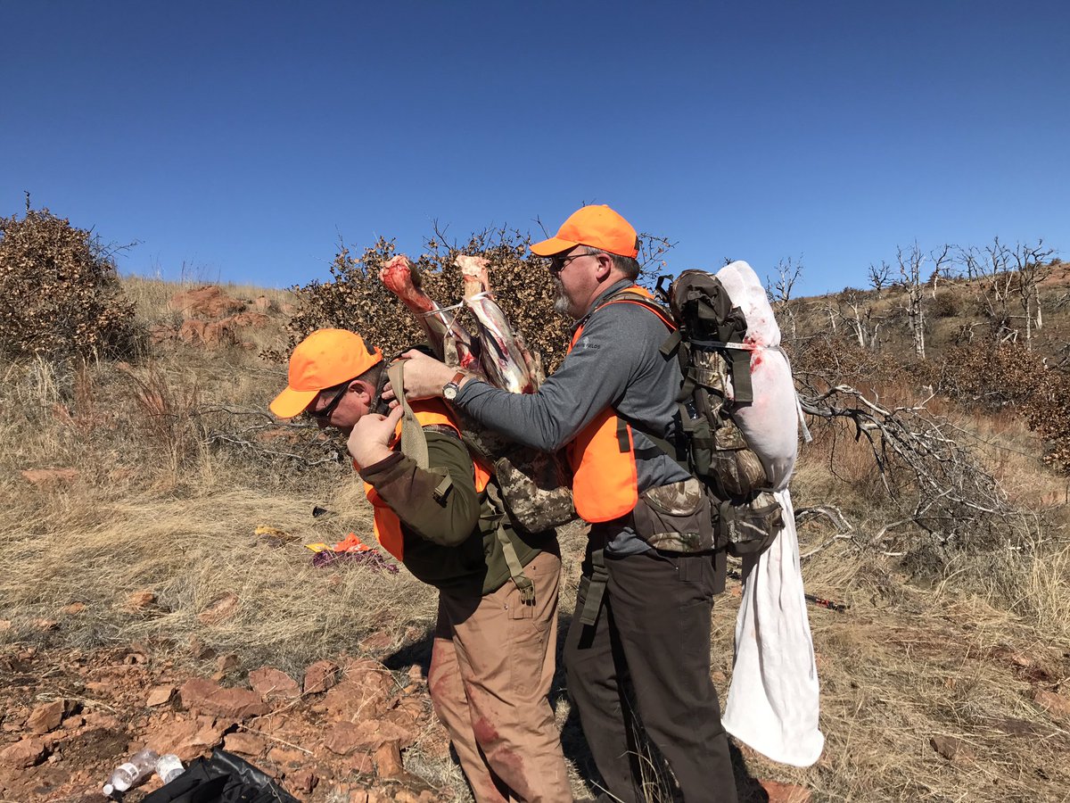 Lazy5B's tweet photo. Elk 2019 is in the books. Great hunt in the Wichita Mts. Thanks to @popbetts and @lbrownok for helping pack him out. #Blessed https://t.co/PYR1CQsQlk
