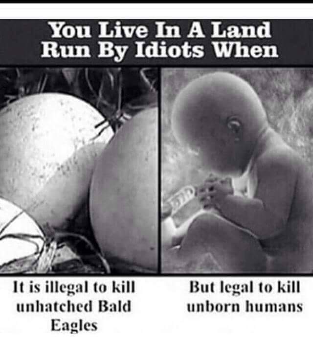 RednecksNews's tweet photo. Merica https://t.co/GuGI732aU7