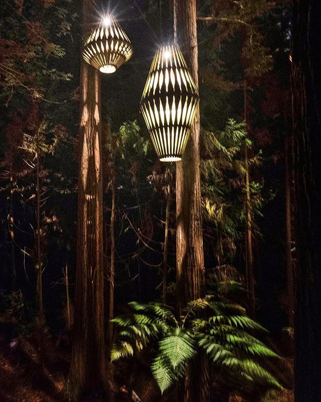 Mead Norton (@meadnortonphoto) on Twitter photo Love the way the #forest glows at night now. Thanks @treewalknz and <a href="/davidtrubridge/">David Trubridge</a>. @purenewzealand @rotoruanz Love the way the #forest glows at night now. Thanks @treewalknz and <a href="/davidtrubridge/">David Trubridge</a>. @purenewzealand @rotoruanz