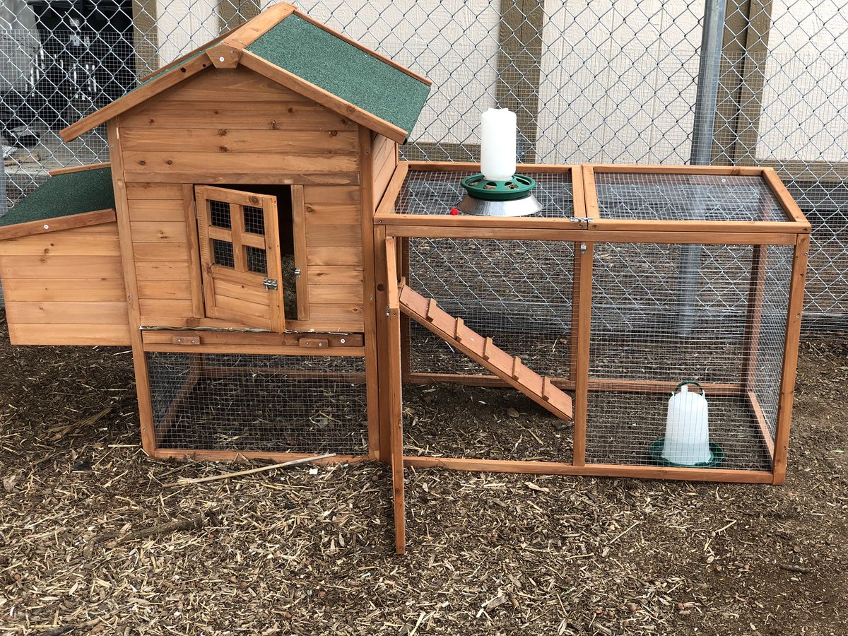 FeasterCharter's tweet photo. Very #thankful for the kind donation from @ToshibaBusiness which will help us construct our #weatherstation, chicken coop and tilapia pond! #feasterlearns @CVESDNews #gratitude #feasterfarm @FeasterDoesSci https://t.co/98aNEaneGp
