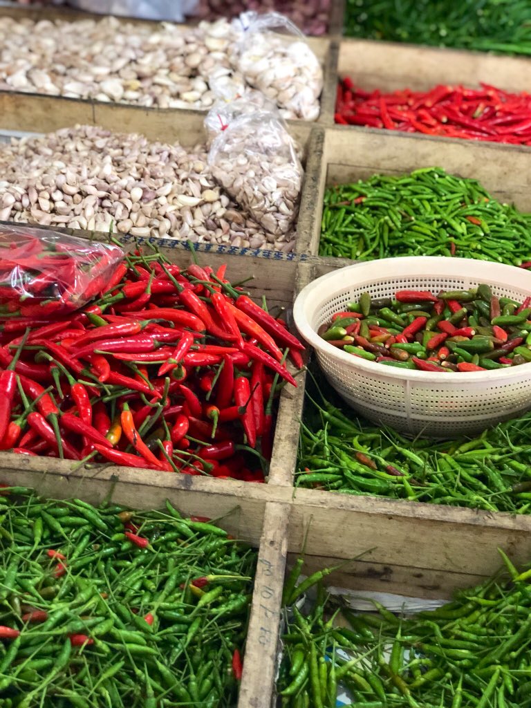 lenubienne's tweet photo. I explored a local market and took a cooking class in Chiang Mai, Thailand. Afterwards, they brought out a light box for us to snap our food. 10/10 recommend other places start doing this. #AtlasArcher https://t.co/CsSI0lJlbR