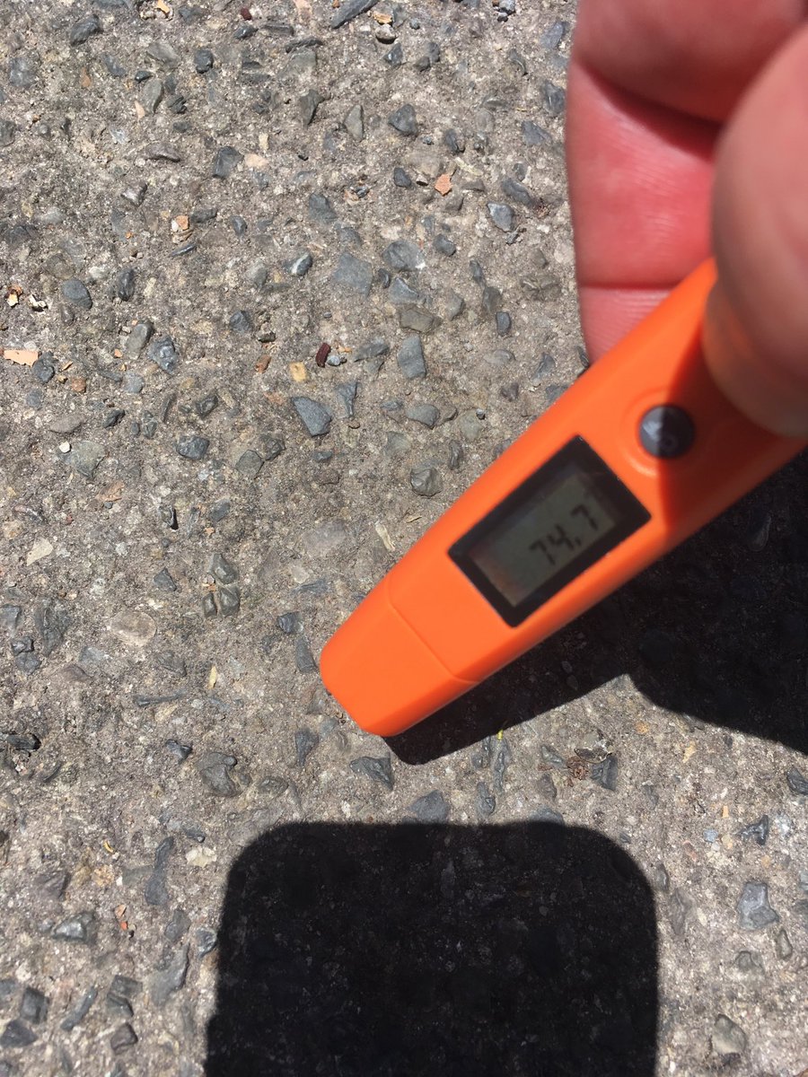 Lookandwait's tweet photo. It’s 45C in the shade but slightly warmer underfoot. Hopefully no one is walking their dog. #tohottowalkthedog #loveworkingoutside https://t.co/bY9lAc9rsl