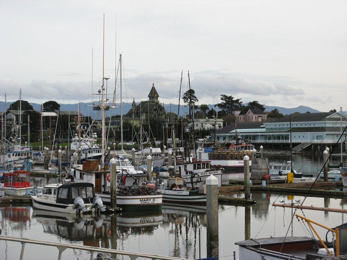 forestsofood's tweet photo. Recent update on #NREMseminar  lineup; Laurie Richmond discusses variance in geographic scales of fisheries management impact on small communities: is larger always better? Community planning may be the way forward!  #fisheries @NOAAFisheriesAK
https://t.co/kvhcoJ22U4 https://t.co/RC7OrnuYhR