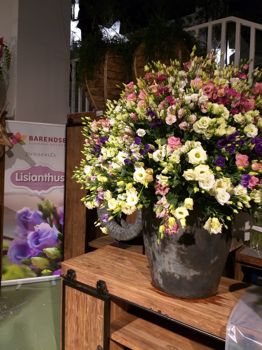 Er wordt hard gewerkt door onze Teams in Essen op de IPM &amp;  op Floradecora - Christmas World Frankfurt deze week ! Met dank aan de medewerkers en partners in deze projecten wens ik U allen een goede beursweek ! Ook dit is een onderdeel van Nederland Bloemenland !