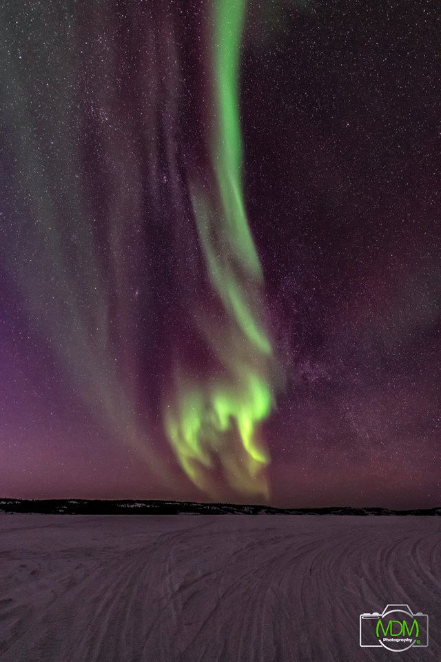 Die Northwest Territories sind der beste Platz, um Millionen Sterne und die magischen Nordlichter zu beobachten.

📷 MDM Photography

#faszinationkanada #northernlights #nordlichter #polarlichter #nwtsecrets #nwt #travelnwt #spectacularnwt #kanada #canada #winter #beautifullife