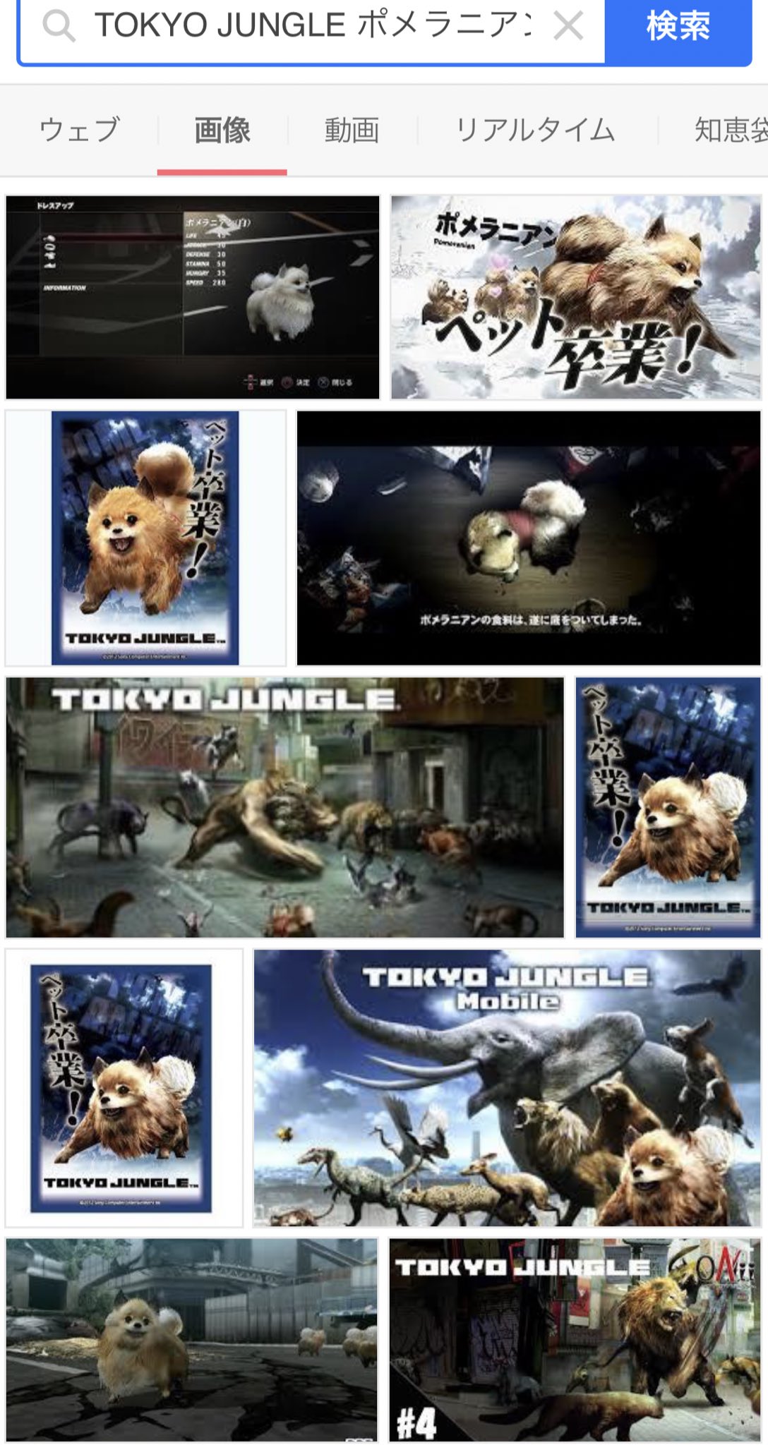 愚鈍 No Twitter 教えて貰ったゲームがむちゃくちゃ面白そうでps3をamazonでポチりそうになるのを堪えている 人人人人人人人人 ペット卒業 Y Y Y Y Y Y Y Tokyo Jungle