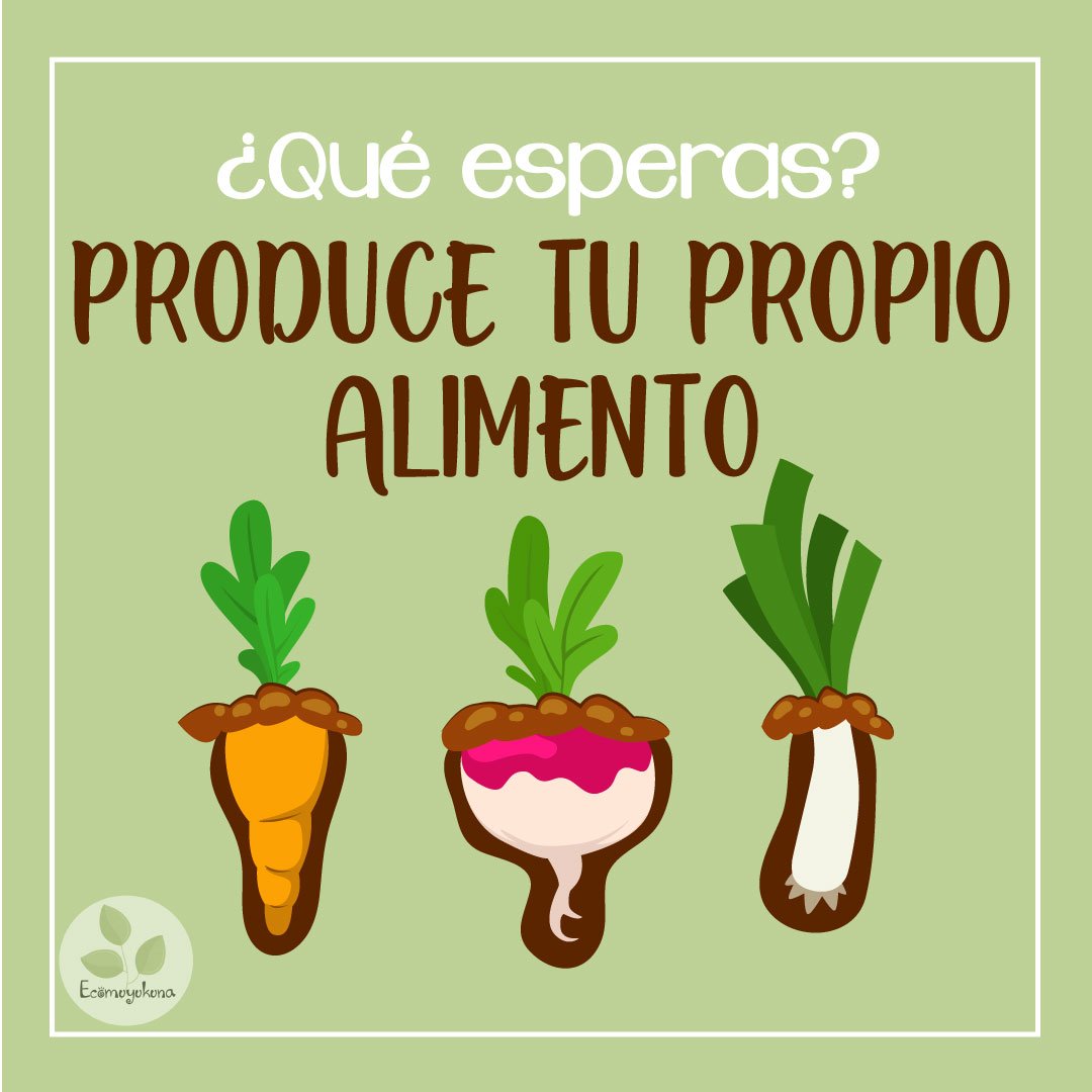 Ecomuyukuna tweet media