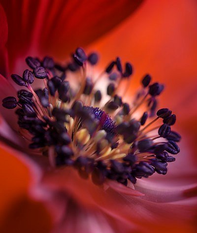 Addy Ice Angel tweet media