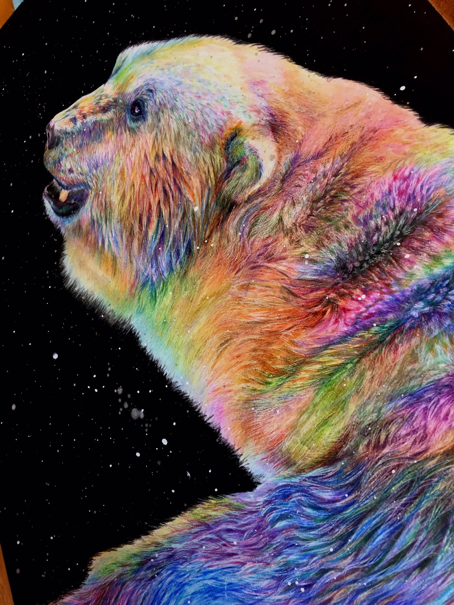 しろくま 色鉛筆 色鉛筆画 イラスト 原画 絵画 水族館 絵 クマ