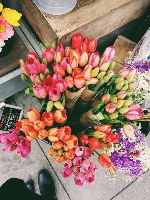 SkyIsPinkBossG's tweet photo. 🌹Welcome home to your life🌹

#TheSkyIsPinkBossGirl #WelcomeHome https://t.co/Hj6tfe1aQw