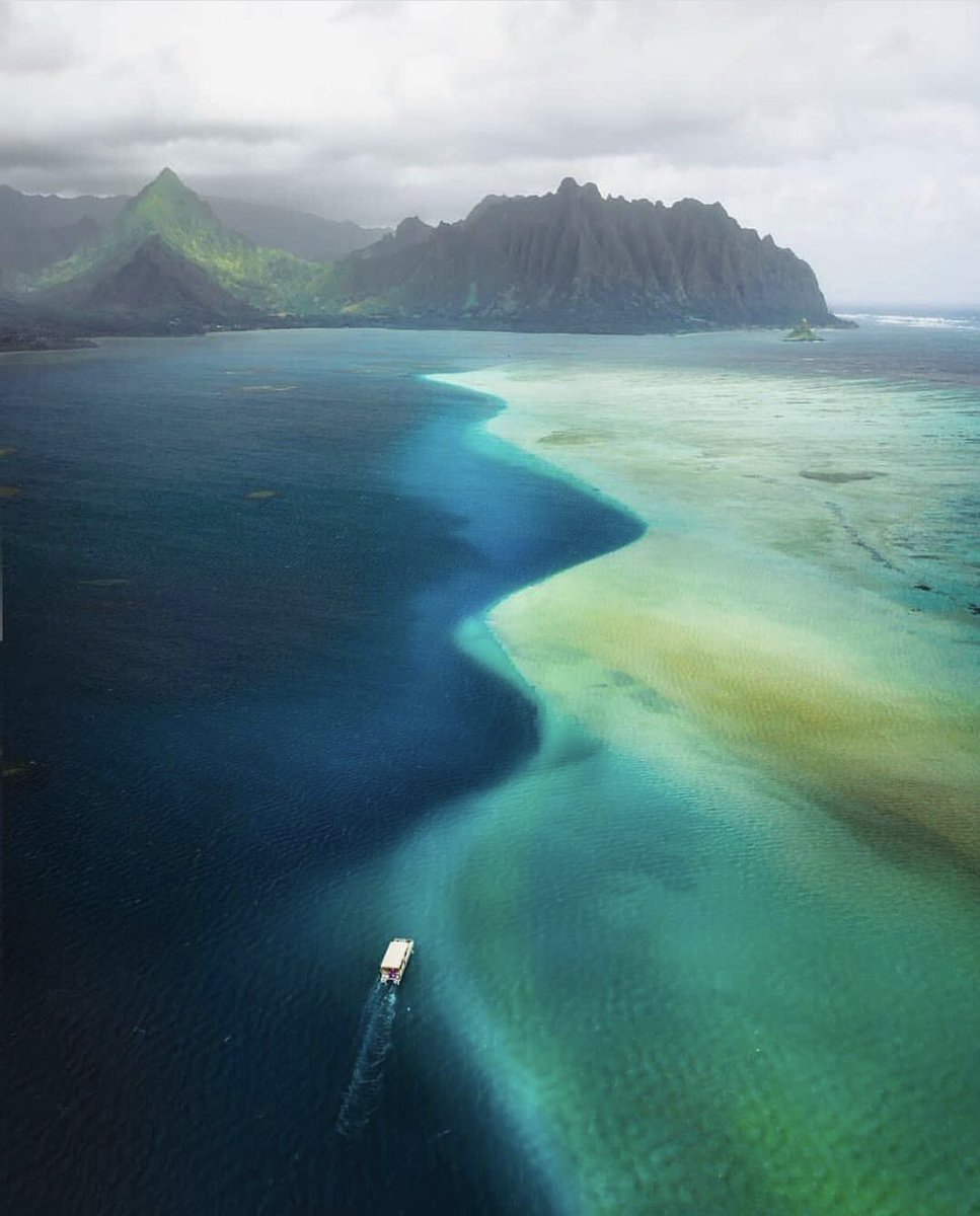 EarthPix's tweet photo. Kaneohe Bay Sandbar 🤙 Photo by @karl_shakur https://t.co/tT6BrPoIqj
