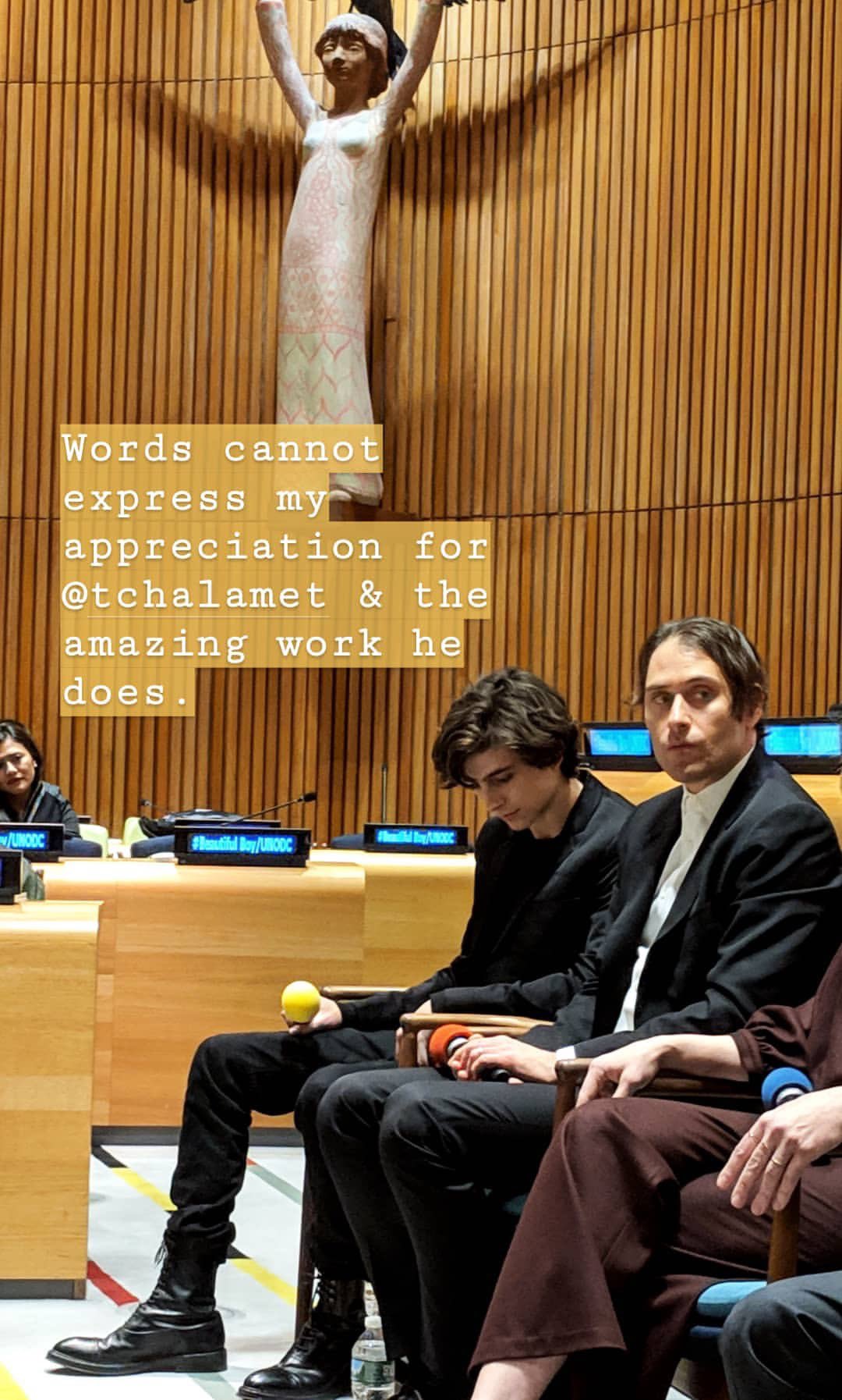 Timothée Chalamet Updates on X: Photos of Timothée at the United Nations  Q&A for Beautiful Boy tonight! (via lizzie_marino)   / X