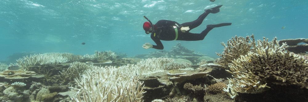 A big welcome to the good people at <a href="/climatecouncil/">Climate Council</a> As December was the warmest ever recorded, we're glad to have you on board and to help with your #fundraising. 

Support here hub.benojo.com/cause/climatec…