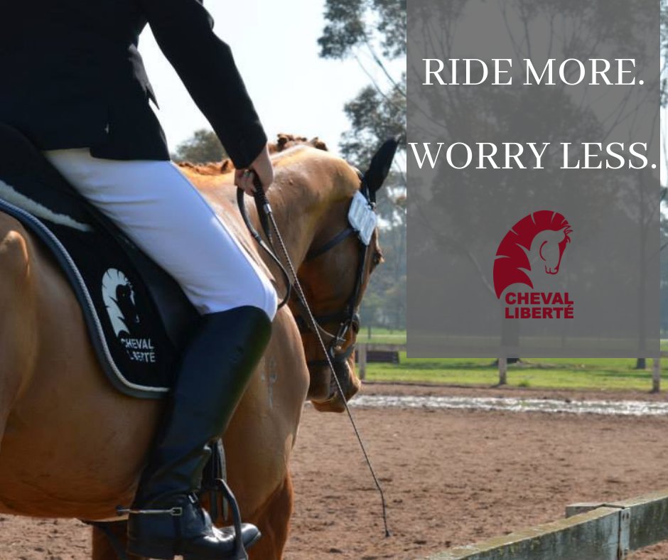 Cheval_Liberte's tweet photo. Ride More. 
Worry Less.

With Cheval Liberte Floats

#horselove #horses #chevallibertehorsefloats https://t.co/AWPKvQ28l7