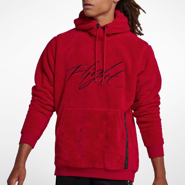 jordan sportswear wings of flight