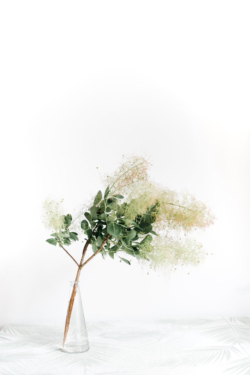 90Outbox's tweet photo. Flowers 
#flowers #wallpaper #WallpaperWednesday #photography https://t.co/aGlbnVo6Ky