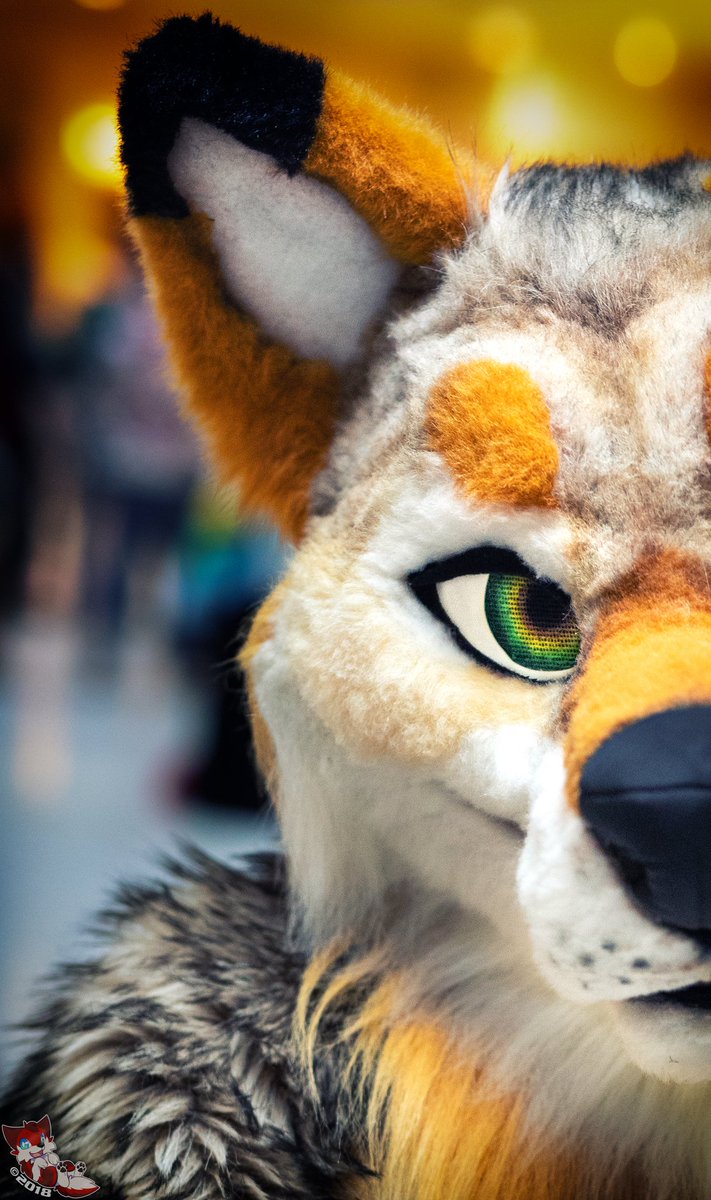 I see you~
Suiter: Yet unknown. Feel free to tag.
Con: MFF2017