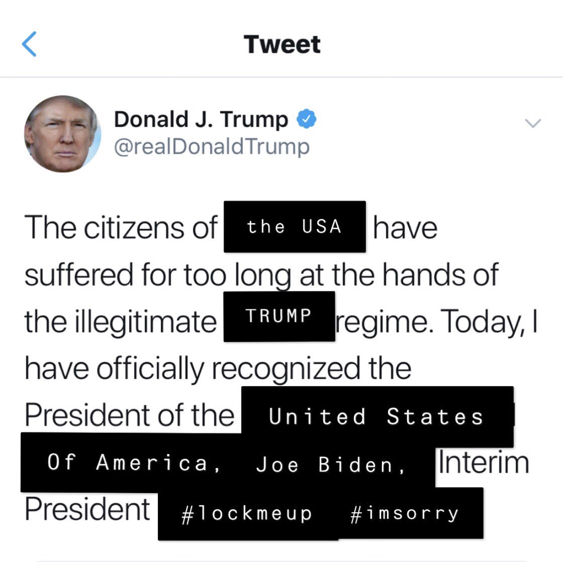 donchaknowgin's tweet photo. @realDonaldTrump thank you for seeing the light. @JoeBiden for President. #LockHimUp #imsorry #JoeBiden #NotMyPresident https://t.co/w0b24Af4z8