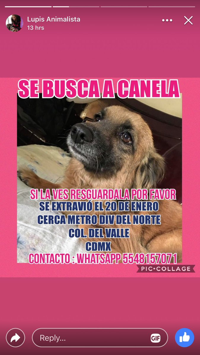 ⁦<a href="/ColLetranValle/">Colonia Letran Valle</a>⁩ ⁦<a href="/En_laDelValle/">En la Del Valle</a>⁩ help