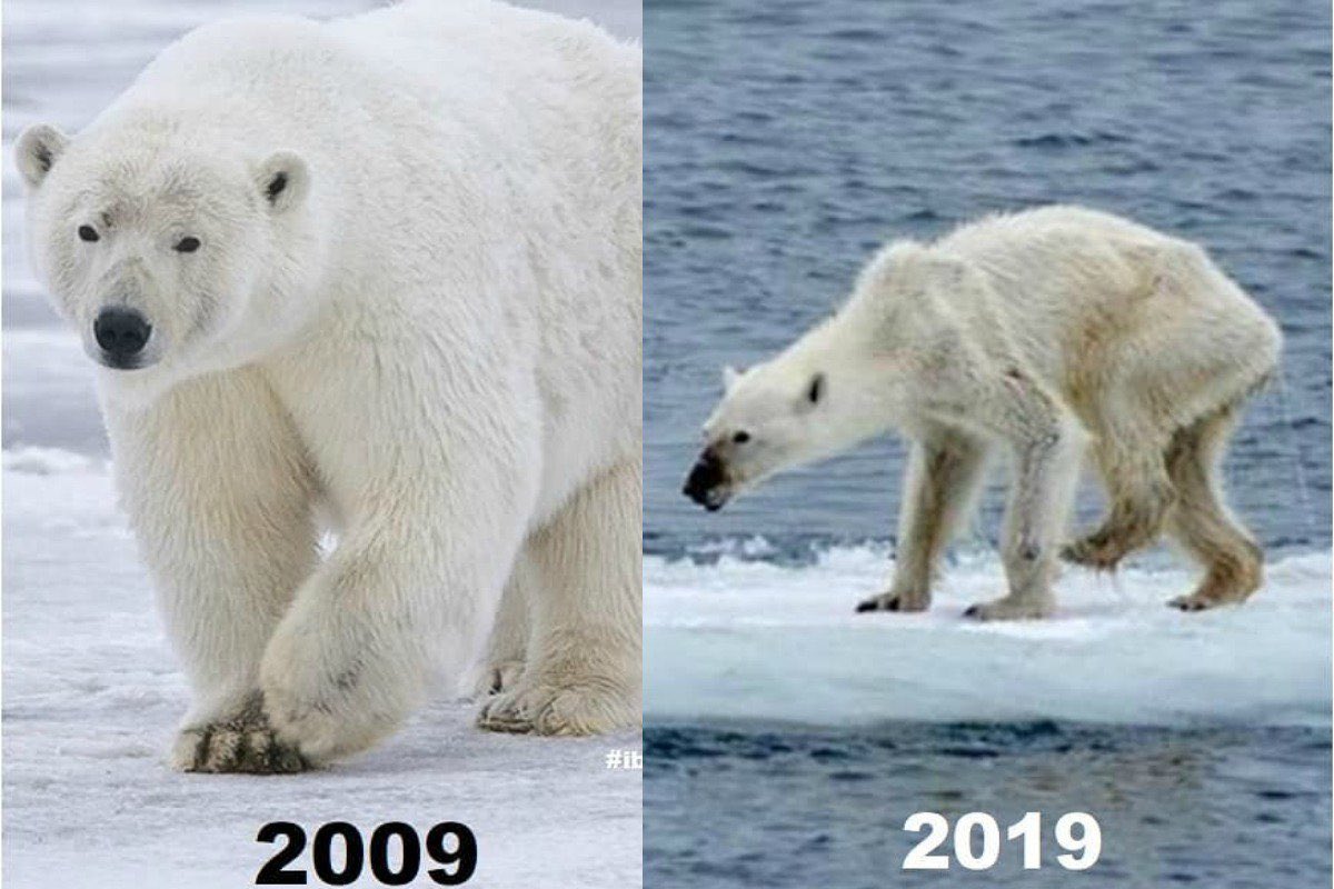 #whsunleashed Here’s how the earth has changed over the last 10 years, let’s talk about that and make a positive change!