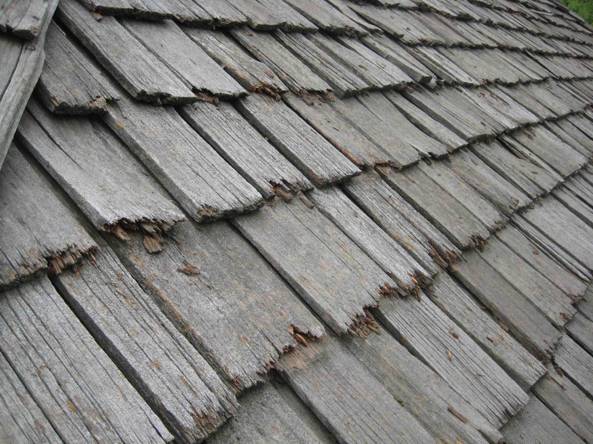 RepairProsJa's tweet photo. #Roofer #Roofing #Roofrepair #Roofingprofessional #Roofingexpert #Roofleaking #Leaking #Waterproof #Waterseal #Waterproofing 
Fix them All https://t.co/Nlcc5SJAMu