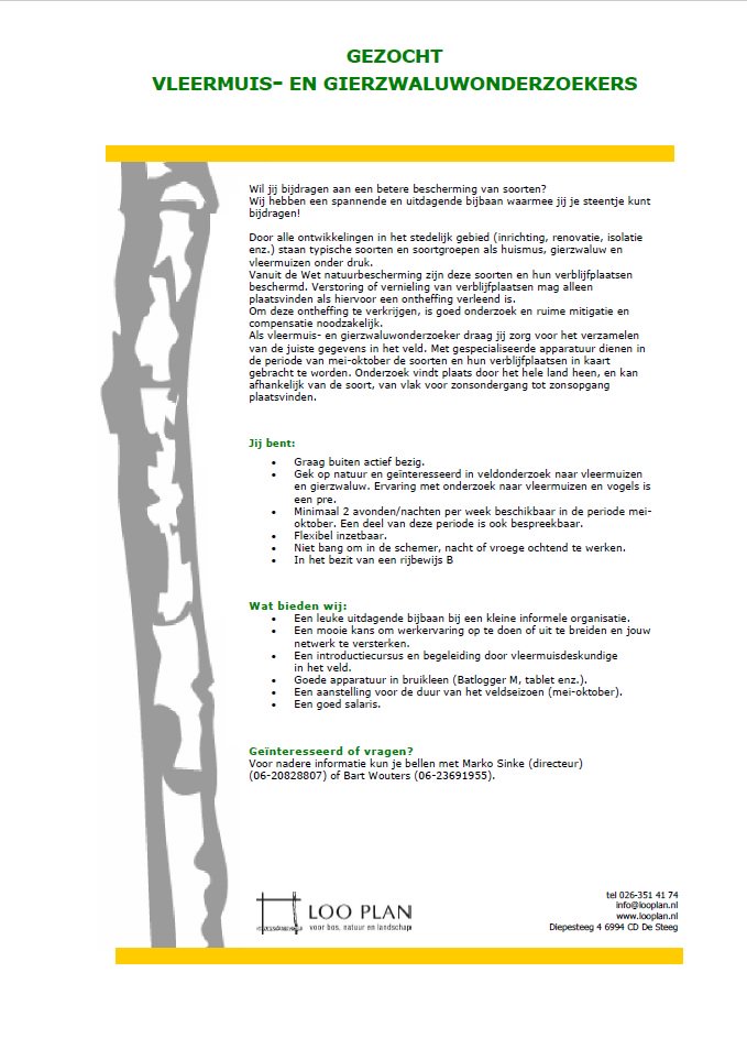 Het werk loopt bij ons de spouwgaten uit en daarom is Loo Plan op zoek naar Vleermuis- en Gierzwaluwonderzoekers voor komend jaar! looplan.nl/sites/default/…