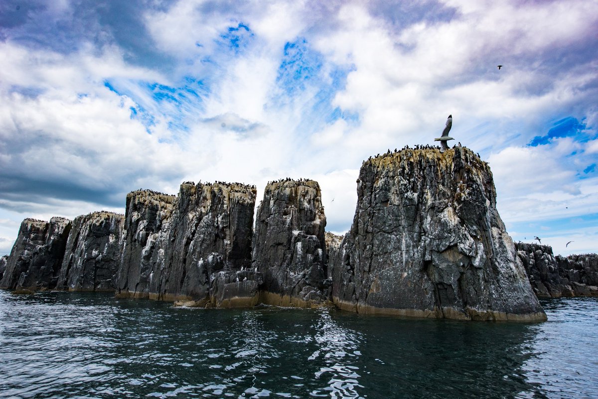 Discover what makes #Northumberland such a wonderful place to visit, work in and live in (don't all come at one though!) ow.ly/ApzE30nnc7S  <a href="/discovernland/">Discover Northumberland</a>   #discoverourland