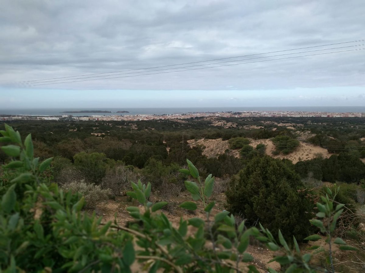 FirstMarrakechT's tweet image. 6 days Tour in Morocco with #FirstMarrakechTours, 😎
Seen #Casablanca #Rabat #Fes #Merzouga #Dades #Ouarzazate #Marrakech 🤩
Let's customize your Tour vacation in #Morocco
contact@first-marrakech-tours.com
#tours #daytrips #Deserttours #Travel #Vacation #Morocco #holiday