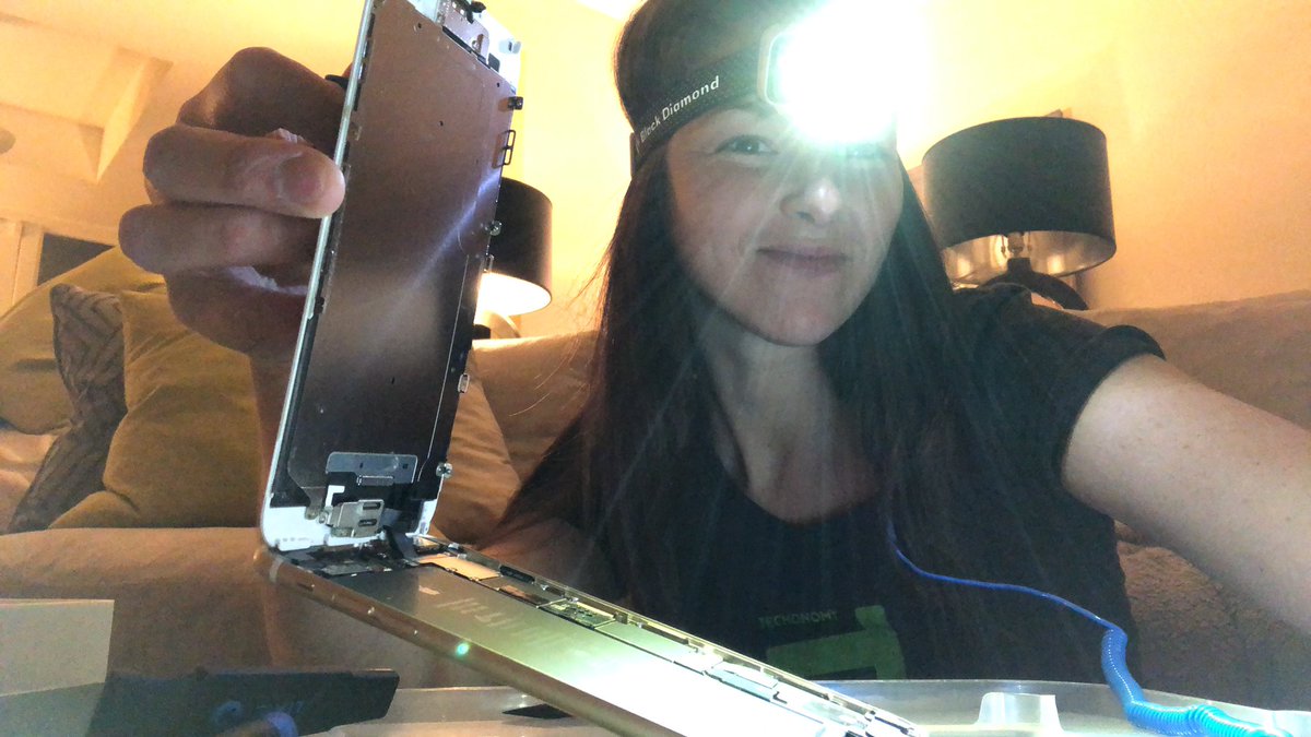 jessica_kirsh's tweet photo. First of many water damaged iPhone teardowns with my super helpful @iFixit #ProTechToolKit!
.
#BlueandBlack has my back! πββοΈ
.
#righttorepair #ifixittools #techrepair #fixer #fixerofthings #femalefixer #geekgirl #girlgeek #fixerchick #fixerbabe #ifixthings https://t.co/WwbjvUOMja