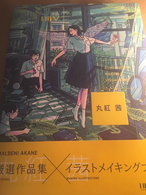 念願の丸紅さんの画集が...待ちわびたなあ 