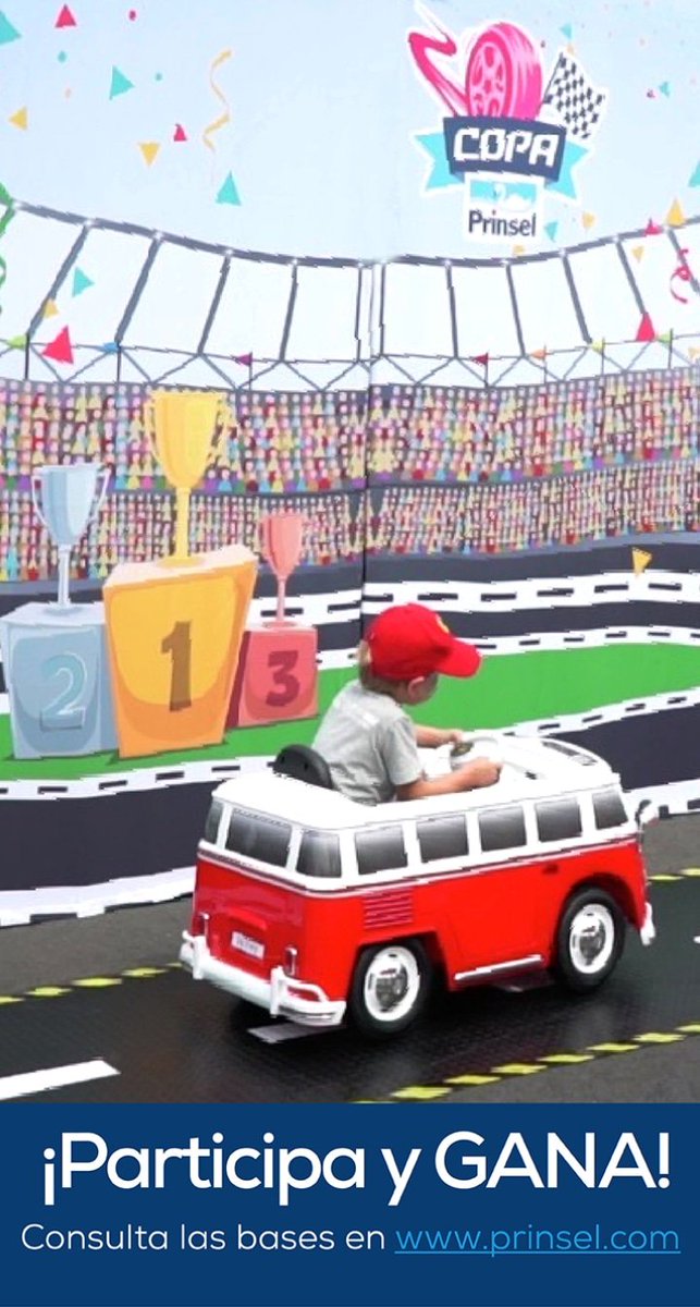 control remoto prinsel