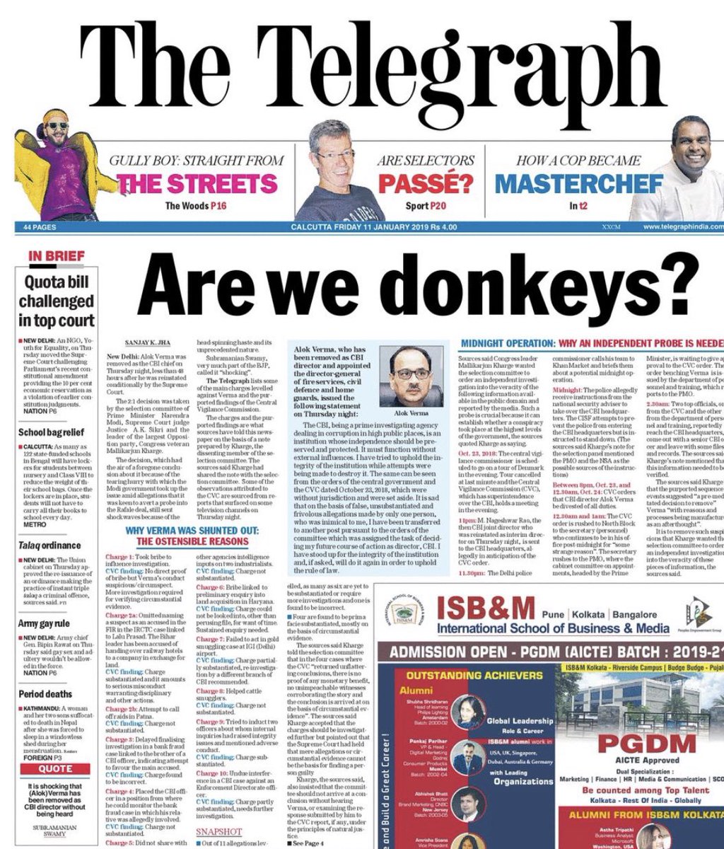 Hey Donkeys at Telegraph, How's the Josh? Biscuits from 10JP delivered?