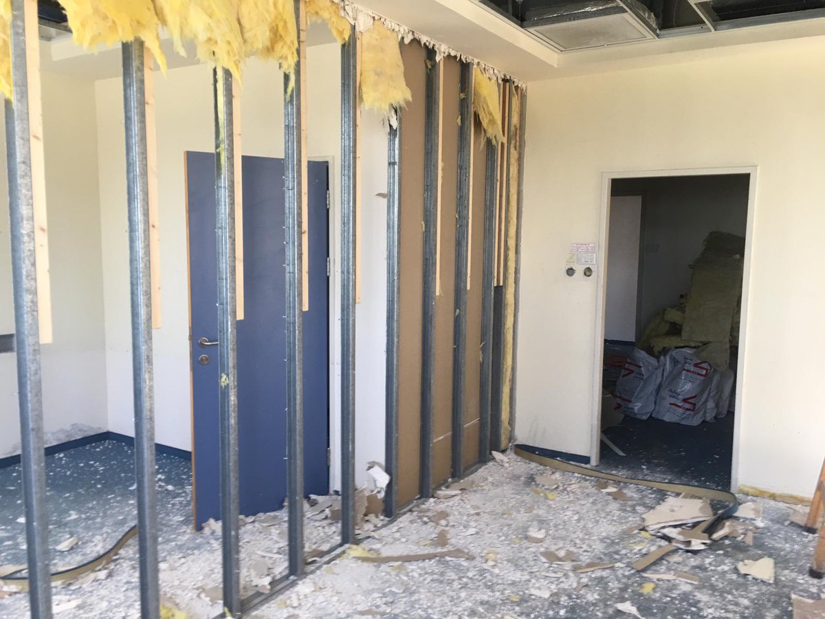 BrainMathEdu's tweet image. My future lab under construction!!