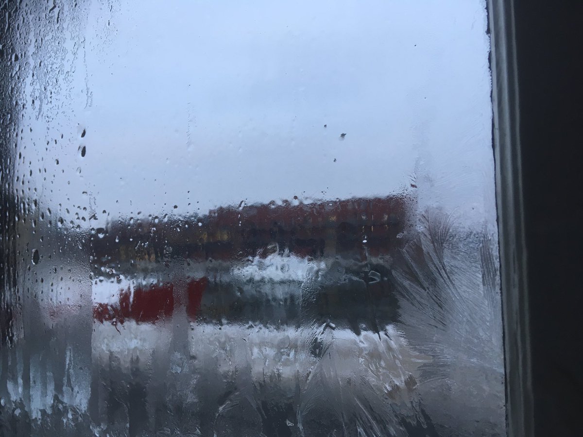 AlexMendle's tweet photo. Lang nicht mehr gesehen: #Eisblume am Altbaufenster 😊#Lübeck #mediadocks https://t.co/OldNEEs7Xl