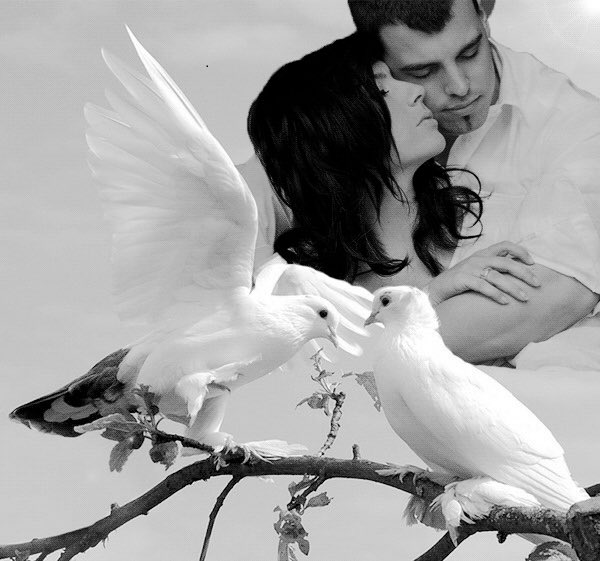 أريد أن أرتمي بين أحضانك
الدآفئة أن أتغلغل
إلي أخر أعماقك
كطفل رضيع يرتجف
من قسوة الصقيع......