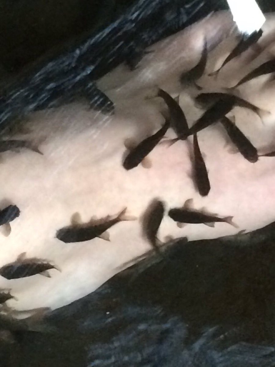 好きっちゃ大分 好きっちゃ大分
