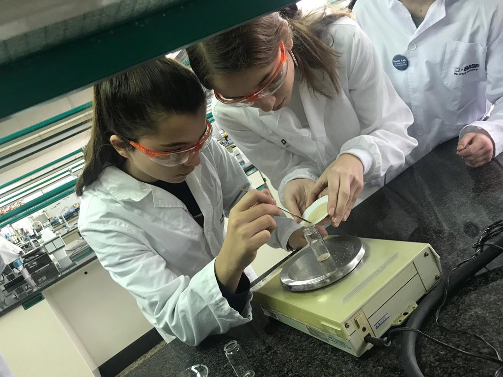 Lestonnac de Tarragona tweet media