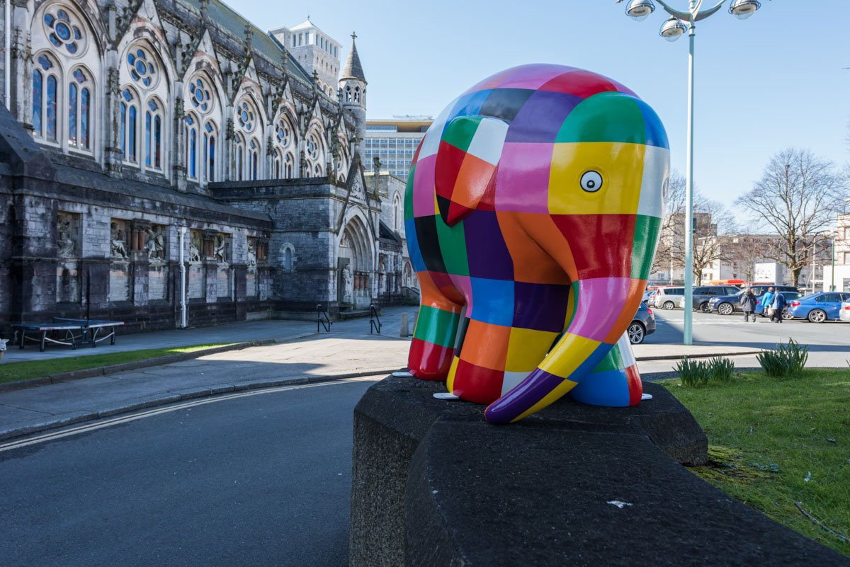 Back to work with the #elmerelephant  project in #plymouth New sponsor has been added and new promo images to be done! How much you have heard of #Elmerplymouth, it comes to the city very soon! #charity #Elmersbigparade  #stlukeshospice #plymouth #plymouthphotographer