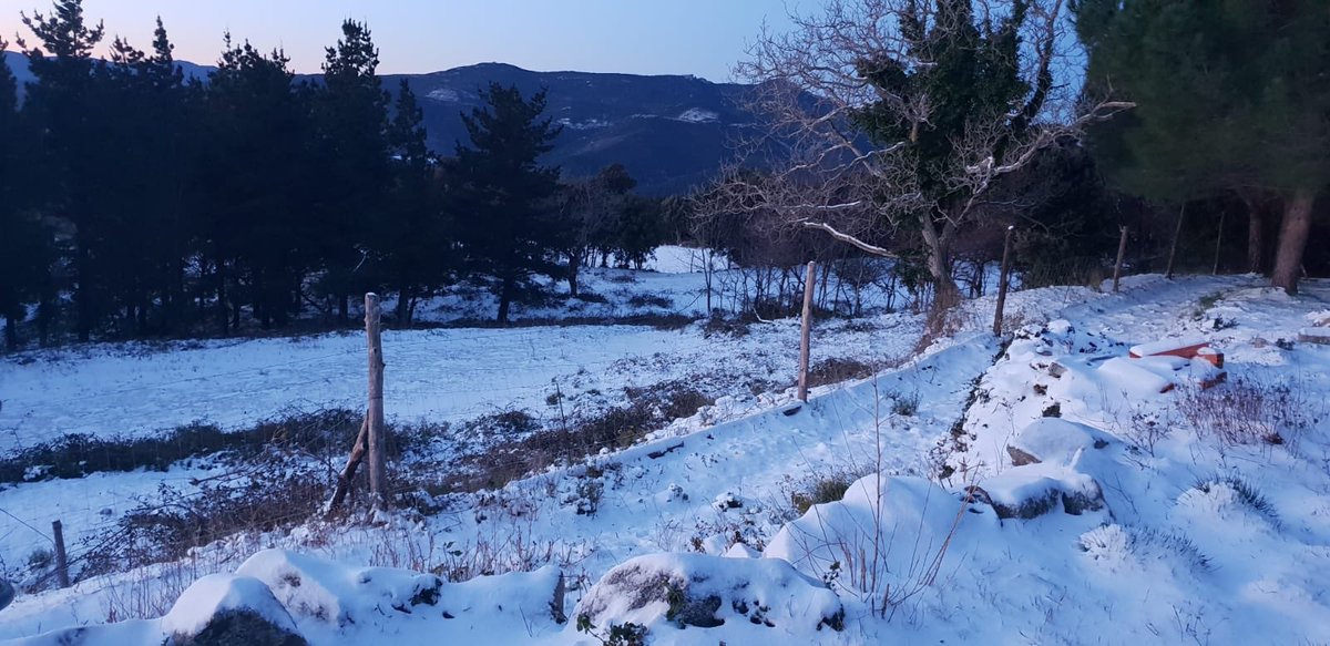 ramaderescat's tweet photo. A Maçanet de Cabrenys, a Basturs, a Guardiola de Berguedà: els paisatges són la nostra llar, el nostre espai vital. https://t.co/O5CZ9SwAtI